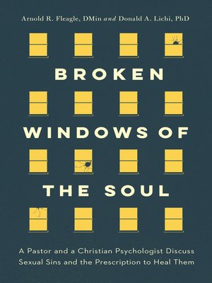 cover image of Broken Windows of the Soul